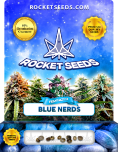 Blue Nerds Strain Feminized Marijuana Seeds