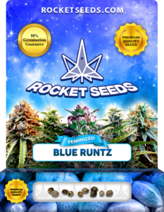 Blue Runtz Strain Feminized Marijuana Seeds