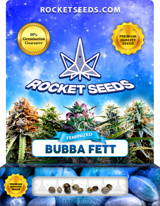 Bubba Fett Strain Feminized