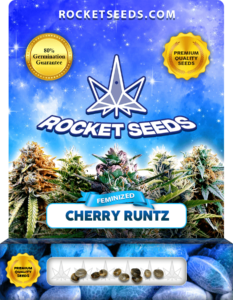 Cherry Runtz Strain Feminized Marijuana Seeds