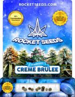 Creme Brulee Strain Feminized Marijuana Seeds