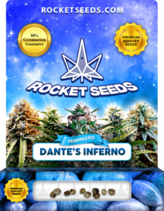 Dante’s Inferno Feminized Marijuana Seeds
