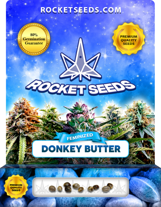 Donkey Butter Strain Feminized