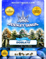 Dosilato Strain Feminized Marijuana Seeds