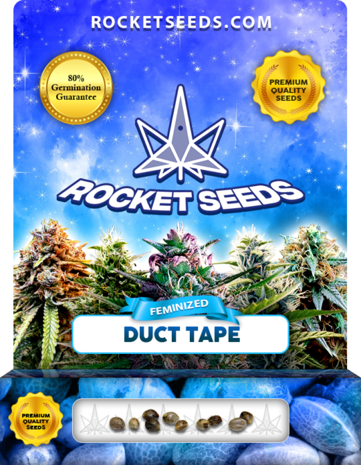 Duct Tape Strain Feminized