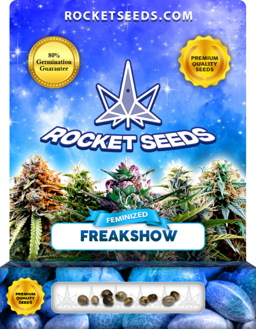 Freakshow Strain Feminized Marijuana Seeds - Rocket Seeds