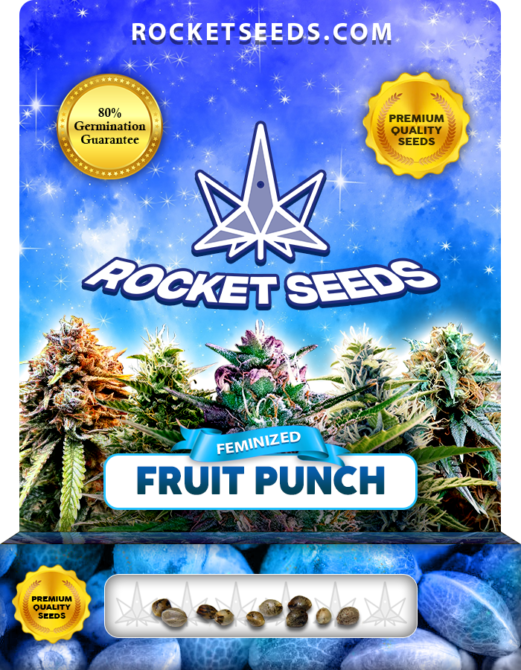 Fruit Punch Strain Feminized