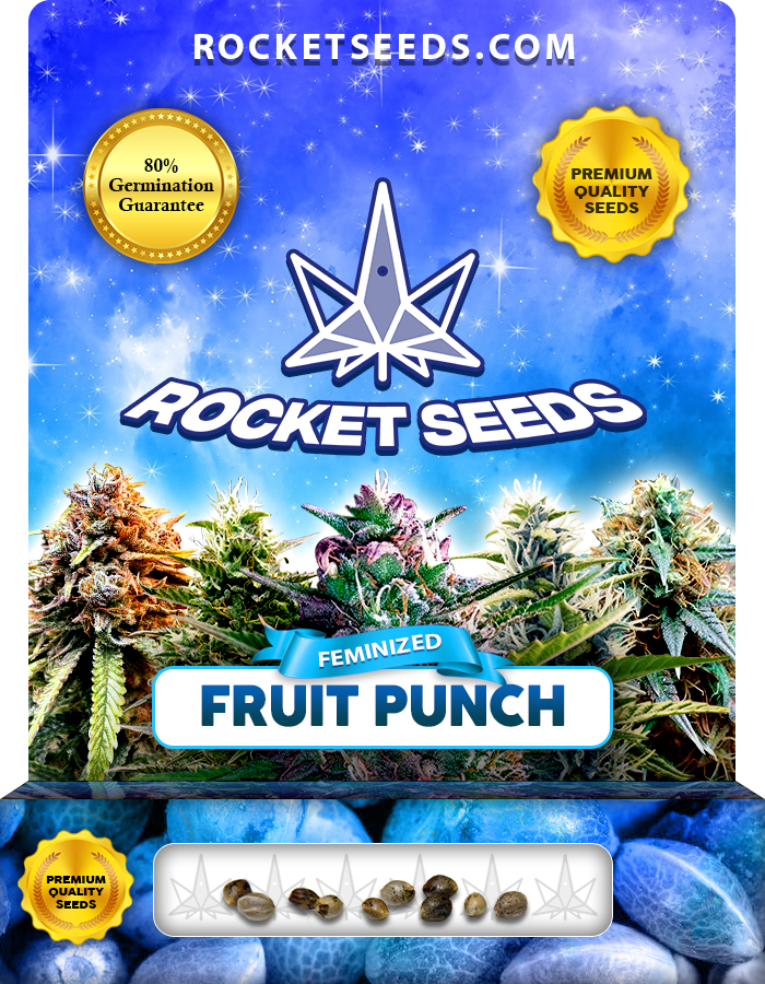 Fruit Punch Strain Feminized Marijuana Seeds