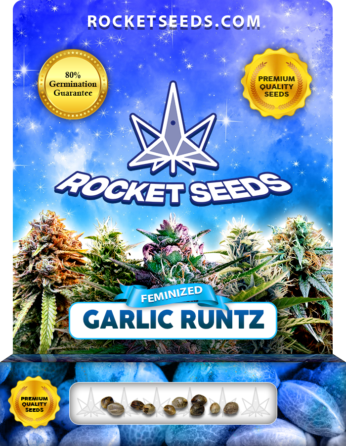 Garlic Runtz Strain Feminized Marijuana Seeds