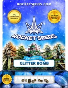 Glitter Bomb Strain Feminized Marijuana Seeds