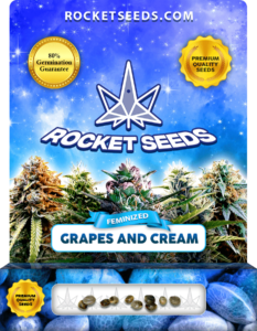 Grapes and Cream Strain Feminized Marijuana Seeds