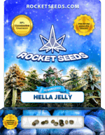 Hella Jelly Feminized Seeds