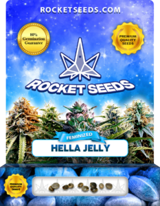 Hella Jelly Strain Feminized Marijuana Seeds