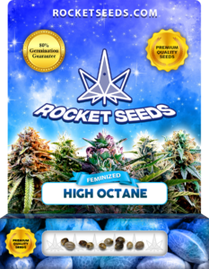 High Octane Strain Feminized Marijuana Seeds