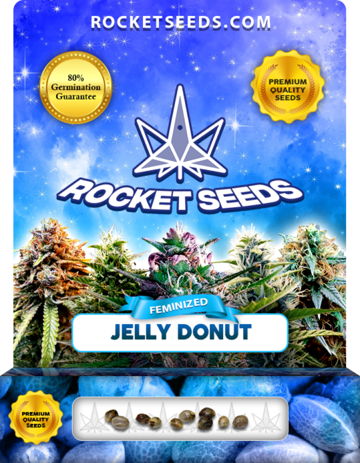 Jelly Donut Strain Feminized