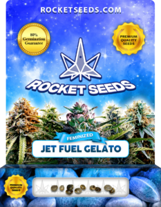 Jet Fuel Gelato Strain Feminized Marijuana Seeds