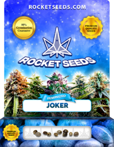 Joker Strain Feminized Marijuana Seeds