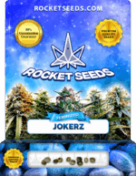 Jokerz Strain Feminized Marijuana Seeds