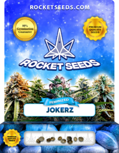 Jokerz Strain Feminized Marijuana Seeds