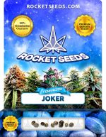 Joker Strain Feminized