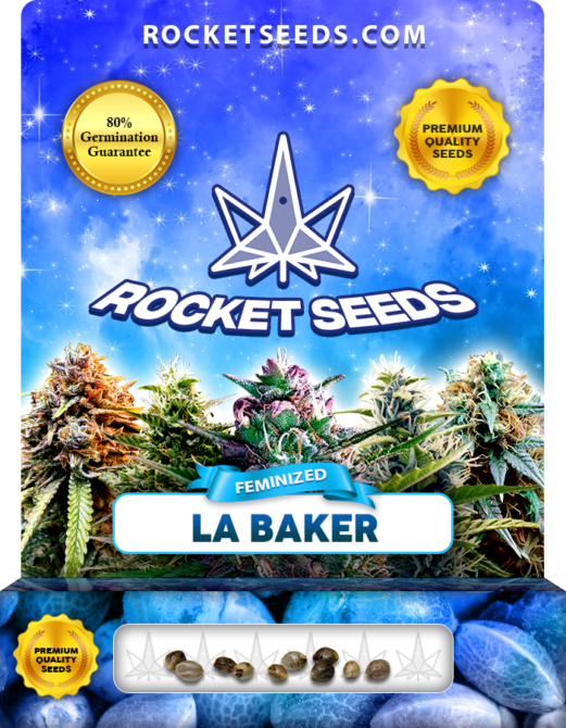 La Baker Strain Feminized Marijuana Seeds