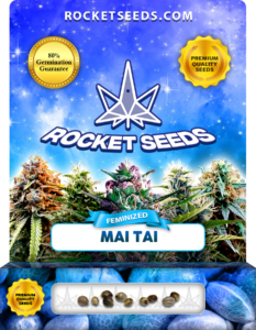 Mai Tai Strain Feminized Marijuana Seeds