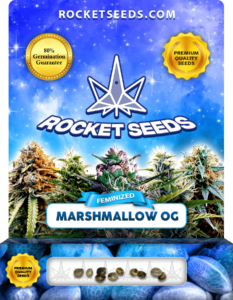 Marshmallow OG Strain Feminized Marijuana Seeds