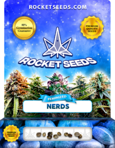 Nerds Strain Feminized Marijuana Seeds