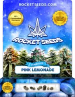 Pink Lemonade Strain Feminized Marijuana Seeds