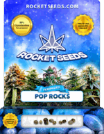 Pop Rocks Strain Feminized Marijuana Seeds