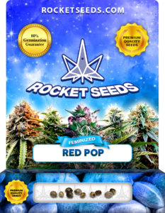 Red Pop Strain Feminized Marijuana Seeds