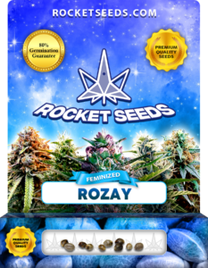 Rozay Strain Feminized Marijuana Seeds