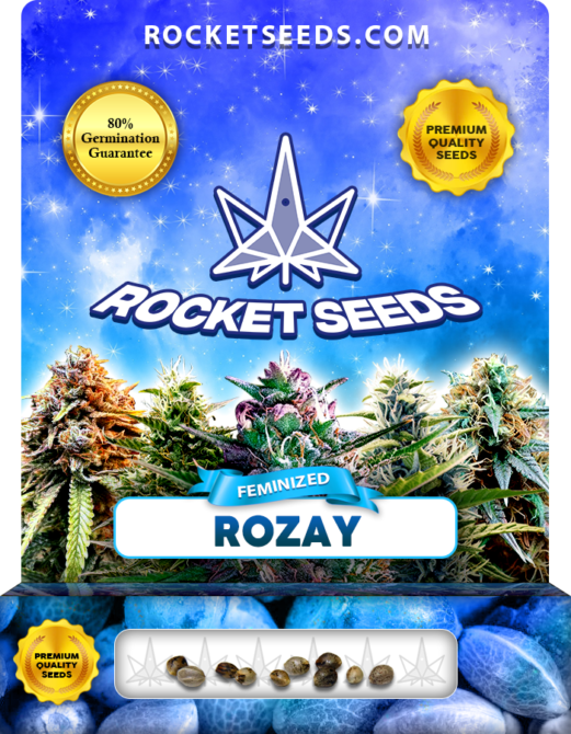 Rozay Strain Feminized