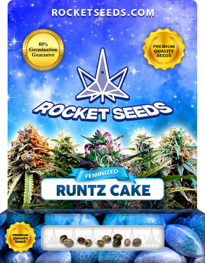 Runtz Cake Strain Feminized Marijuana Seeds