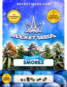 Smores Strain Feminized Marijuana Seeds