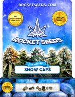 Snow Caps Strain Feminized Marijuana Seeds