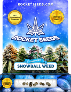 Snowball Weed Strain Feminized Marijuana Seeds