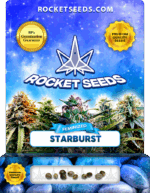 Starburst Strain Feminized Marijuana Seeds