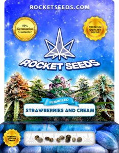 Strawberries and Cream Strain Feminized Marijuana Seeds