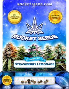 Strawberry Lemonade Strain Feminized Marijuana Seeds