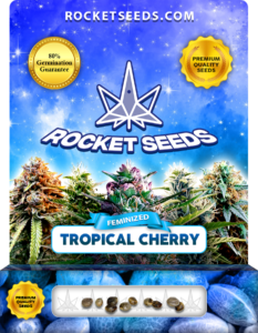 Tropical Cherry Strain Feminized Marijuana Seed