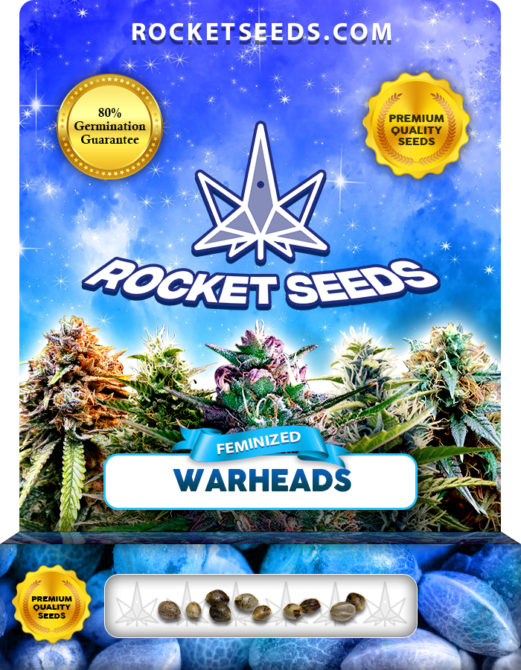 Warheads Strain Feminized