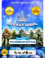 Watermelon Zkittlez Strain Feminized Marijuana Seeds