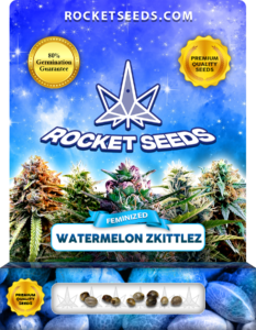 Watermelon Zkittlez Strain Feminized Marijuana Seeds