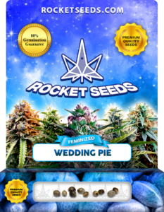 Wedding Pie Strain Feminized Marijuana Seeds