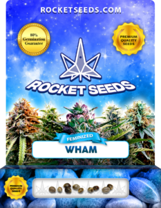 Wham Strain Feminized Marijuana Seeds