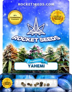 Yahemi Strain Feminized Marijuana Seeds