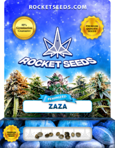 Zaza Strain Feminized Marijuana Seeds