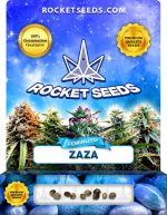 Zaza Strain Feminized