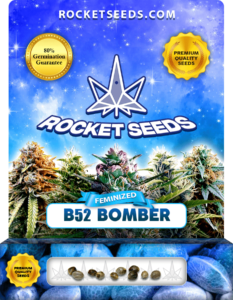 B52 Bomber Strain Feminized Marijuana Seeds